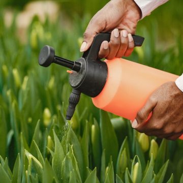 Zastosowanie motopomp w ogrodnictwie: praktyczne porady i zalecenia